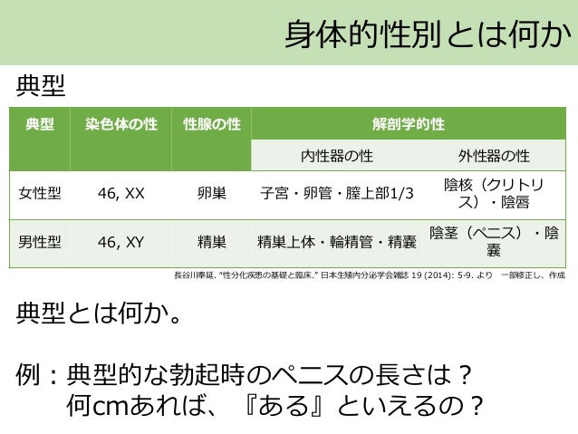 フェンテルミン勃起不全