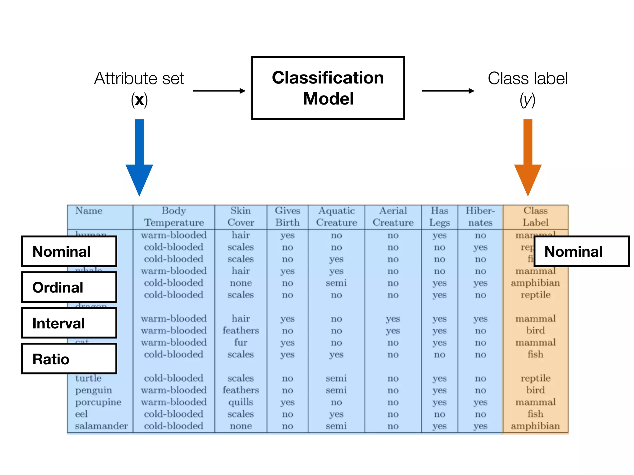 Attribute set 
(x)
Class label 
(y)
Classiﬁcation
Model
NominalNominal
Ordinal
Interval
Ratio
 