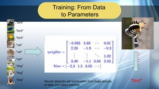 Training: From Data
to Parameters
,"bird"
,"bird"
,"bird"
,"cat"
,"cat"
,"cat"
,"dog"
,"dog"
,"dog"
N
e
t
w
o
r
k
"bird"Neural networks get parameters from huge amouts
of data, it is called training!
 