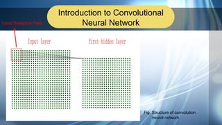 Introduction to Convolutional
Neural Network
Fig. Structure of convolution
neural network
Local Receptive Field
 