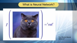 What is Neural Network?
Fig. What is Neural
Network?
 