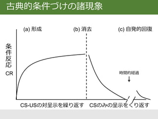 古典的条件づけの諸現象
CR
CS-USの対呈示を繰り返す CSのみの呈示をくり返す
(a) 形成 (b) 消去 (c) 自発的回復
時間的経過
条
件
反
応
 