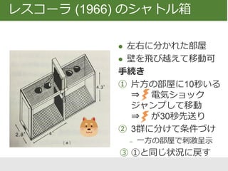 レスコーラ (1966) で用いられた手続き
CS
US
CS
US
CS
US
ランダム群
正の予測群
負の予測群
CSは音、USは電気ショック30秒
 