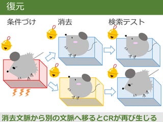 Bouton & King (1983)
① 消去手続きを行う
② EXT-Aは同じ実験箱
EXT-Bは別の実験箱
NEはコントロール
③ EXT-Bで条件反応が
再び生じる
復元
面接室では改善したのに、実生活で再発
 
