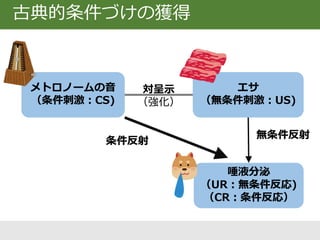 古典的条件づけの獲得
メトロノームの音
（条件刺激：CS)
エサ
（無条件刺激：US)
唾液分泌
（UR：無条件反応)
（CR：条件反応）
条件反射
無条件反射
対呈示
（強化）
 