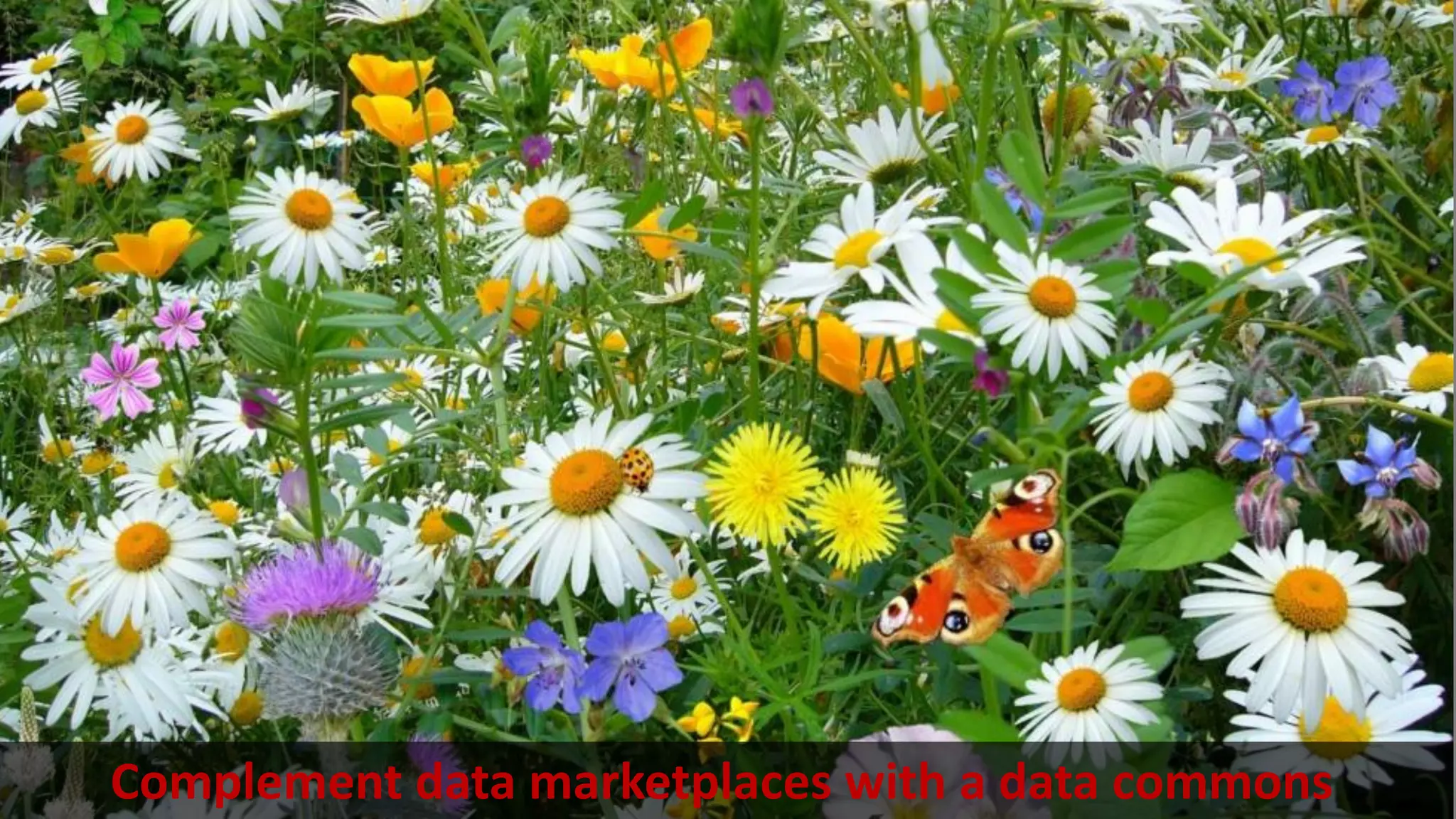 Complement data marketplaces with a data commons
 