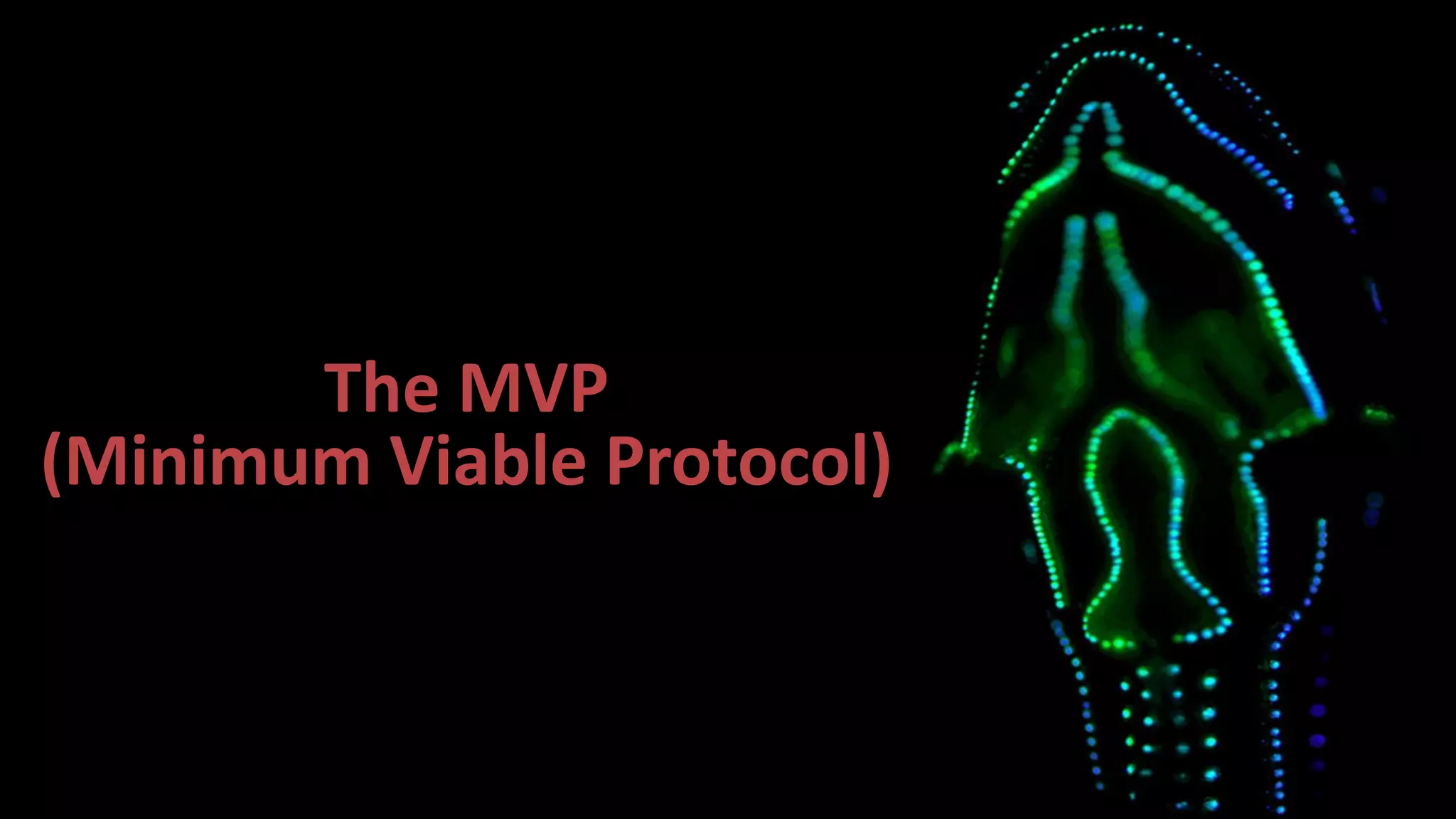 The MVP
(Minimum Viable Protocol)
 