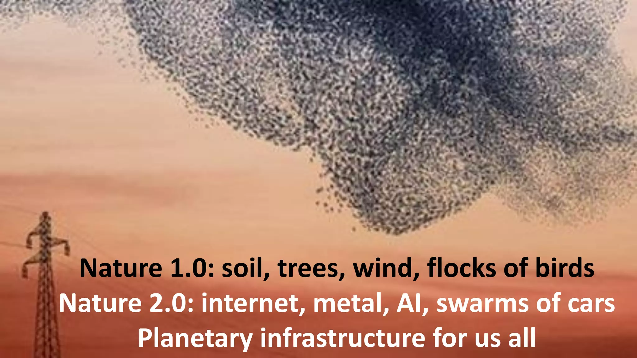 Nature 1.0: soil, trees, wind, flocks of birds
Nature 2.0: internet, metal, AI, swarms of cars
Planetary infrastructure for us all
 