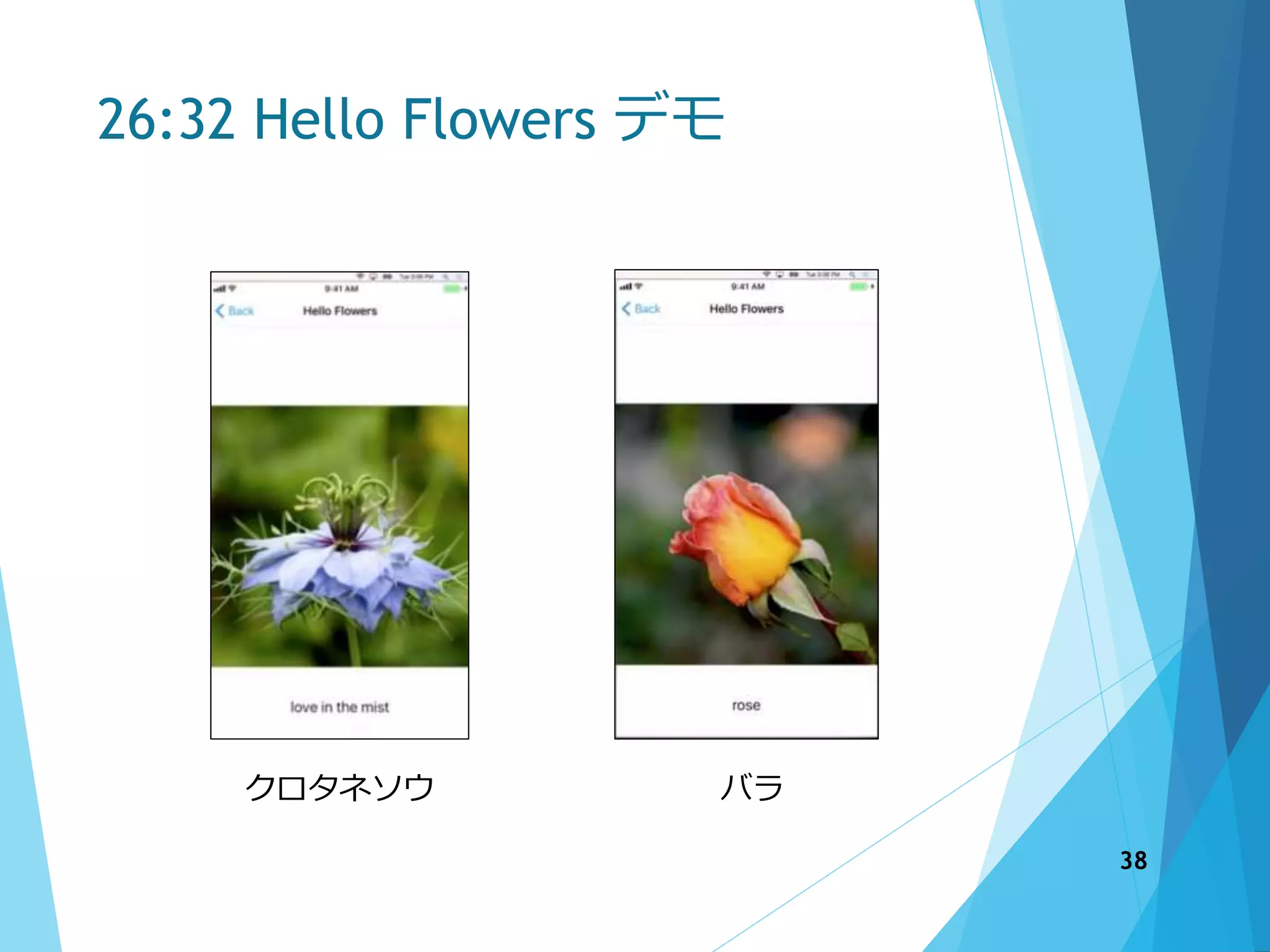 26:32 Hello Flowers デモ
クロタネソウ バラ
38
 