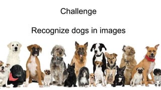 Challenge
Recognize dogs in images
 
