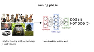 Labeled training set (dog/not dog)
> 1000 images
Untrained Neural Network
Training phase
DOG (1)
NOT DOG (0)
 