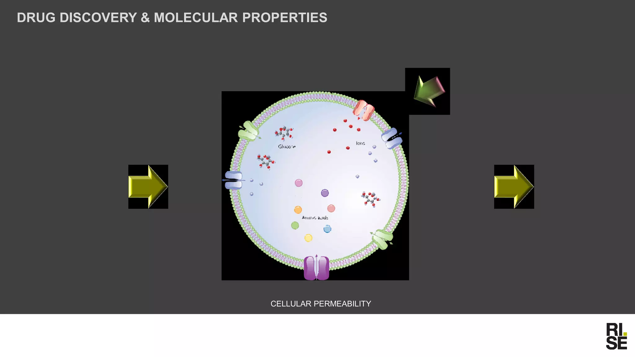 DRUG DISCOVERY & MOLECULAR PROPERTIES
CELLULAR PERMEABILITY
 
