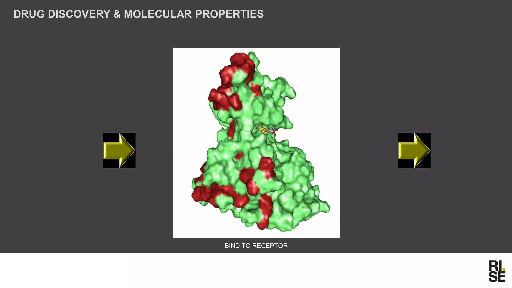 DRUG DISCOVERY & MOLECULAR PROPERTIES
BIND TO RECEPTOR
 