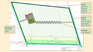 Haag B
Boswilg
Gele Kornoelje
Cotoneaster
Wilde Mispel
Haag A
Zwarte Els
Meidoorn
Vuilboom
Vlierbes
Hazelnoten
Tussen de
eiken
Kavelpad
Lindenbomen
 