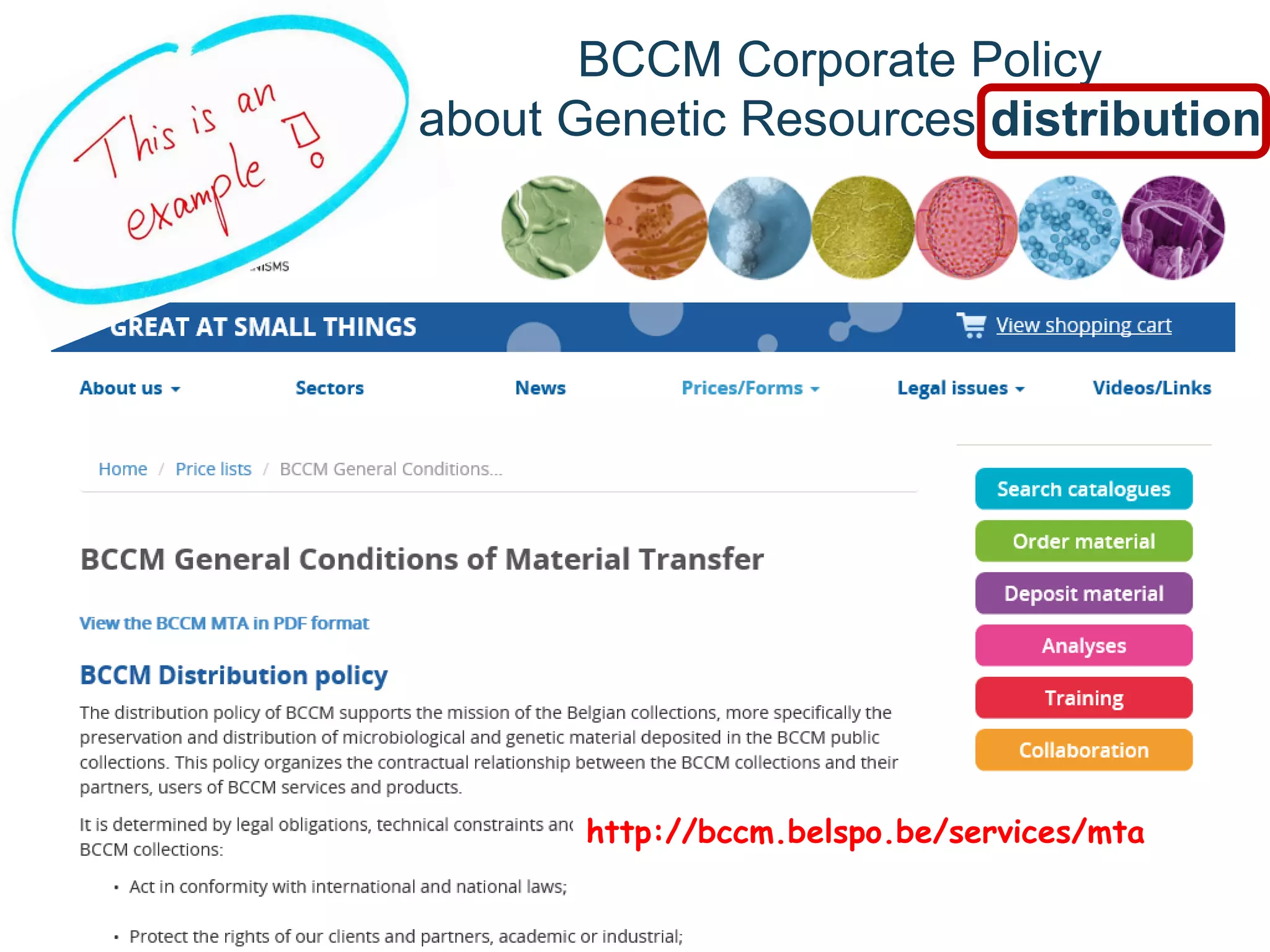 BCCM Corporate Policy
about Genetic Resources distribution
http://bccm.belspo.be/services/mta
 