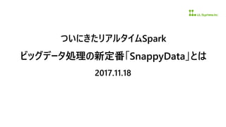 ついにきたリアルタイムSpark
ビッグデータ処理の新定番「SnappyData」とは
2017.11.18
 