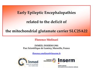 Early Epileptic Encephalopathies
related to the deficit of
the mitochondrial glutamate carrier SLC25A22
Florence Molinari
INMED, INSERM U901
Parc Scientifique de Luminy, Marseille, France
florence.molinari@inserm.fr
 