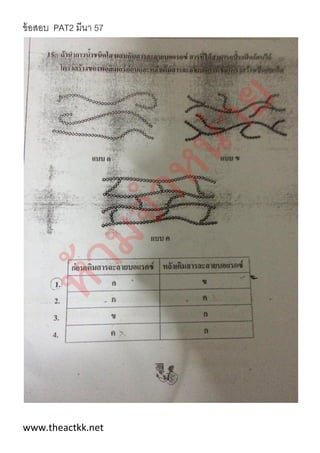 ข้อสอบ PAT2 มีนา 57
www.theactkk.net
 