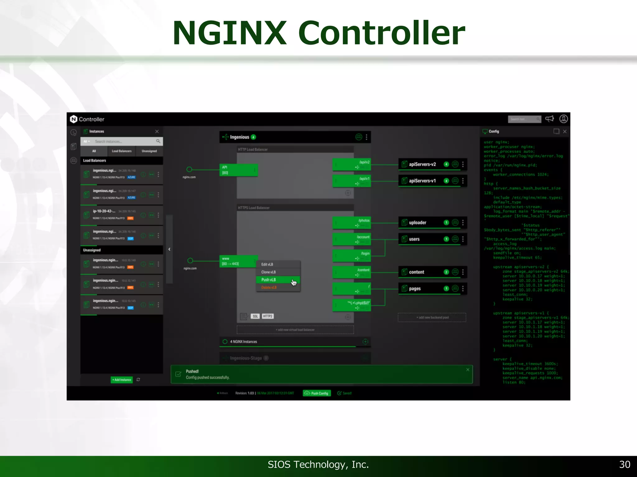 NGINX Controller
SIOS Technology, Inc. 30
 