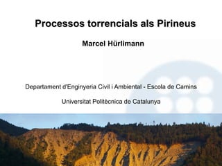 Processos torrencials als Pirineus
Marcel Hürlimann
Departament d'Enginyeria Civil i Ambiental - Escola de Camins
Universitat Politècnica de Catalunya
 