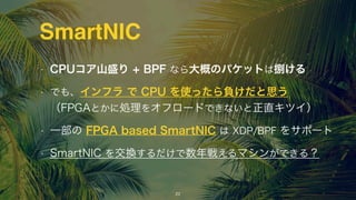 SmartNIC
• CPUコア山盛り + BPF なら大概のパケットは捌ける
• でも、インフラ で CPU を使ったら負けだと思う 
（FPGAとかに処理をオフロードできないと正直キツイ）
• 一部の FPGA based SmartNIC は XDP/BPF をサポート
• SmartNIC を交換するだけで数年戦えるマシンができる？
16
 