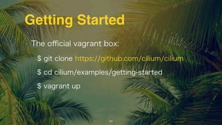 Getting Started
• The oﬃcial vagrant box:
$ git clone https://github.com/cilium/cilium 
$ cd cilium/examples/getting-started 
$ vagrant up
18
 