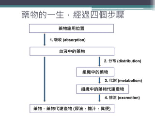 藥物的一生，經過四個步驟
7
藥物施用位置
血液中的藥物
1. 吸收 (absorption)
組織中的藥物
組織中的藥物代謝產物
藥物，藥物代謝產物 (尿液，膽汁，糞便)
2. 分布 (distribution)
3. 代謝 (metabolism)
4. 排泄 (excrection)
 