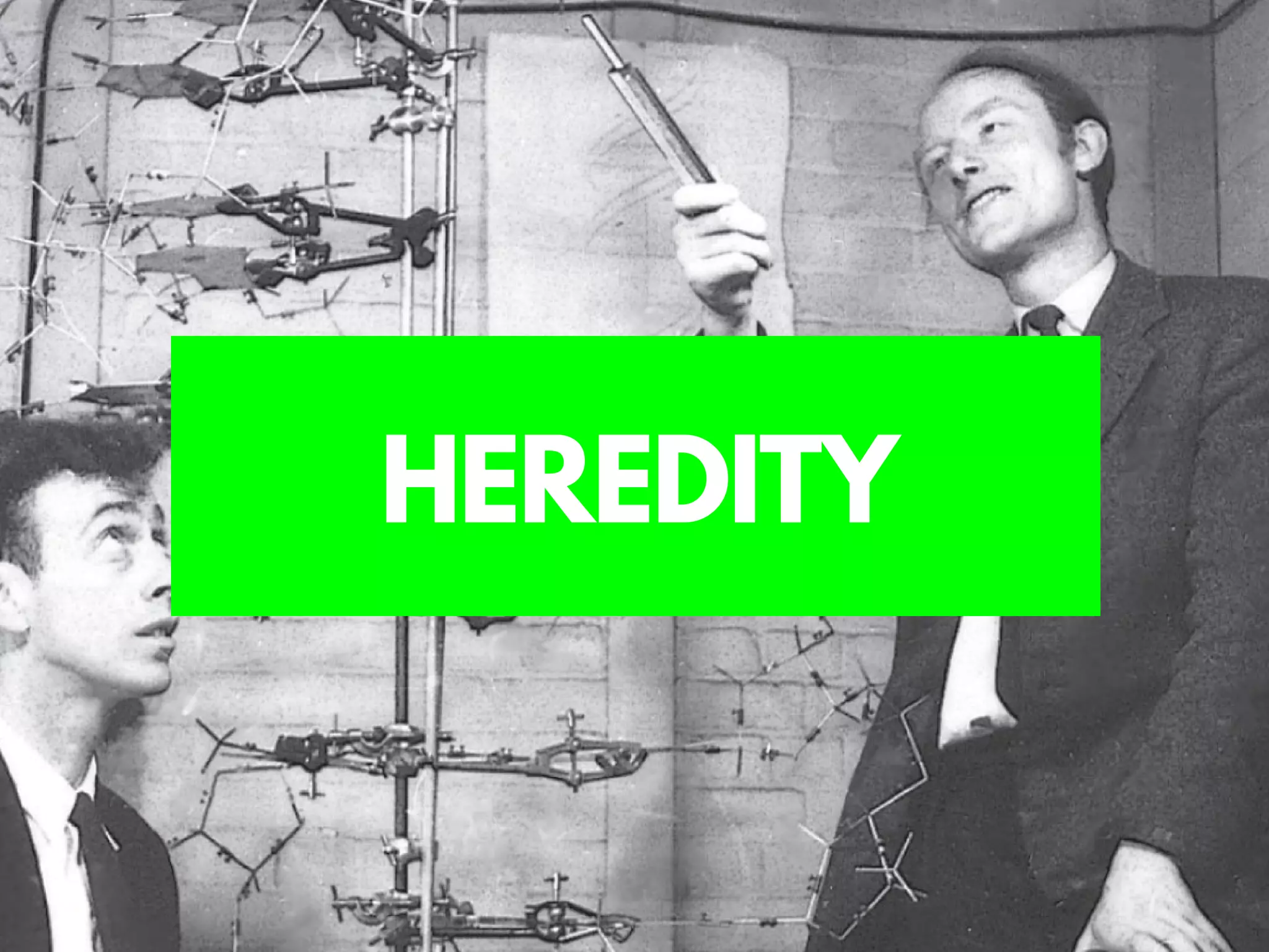 HEREDITY