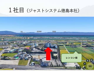 １社目（ジャストシステム徳島本社）
レンコン畑
 
