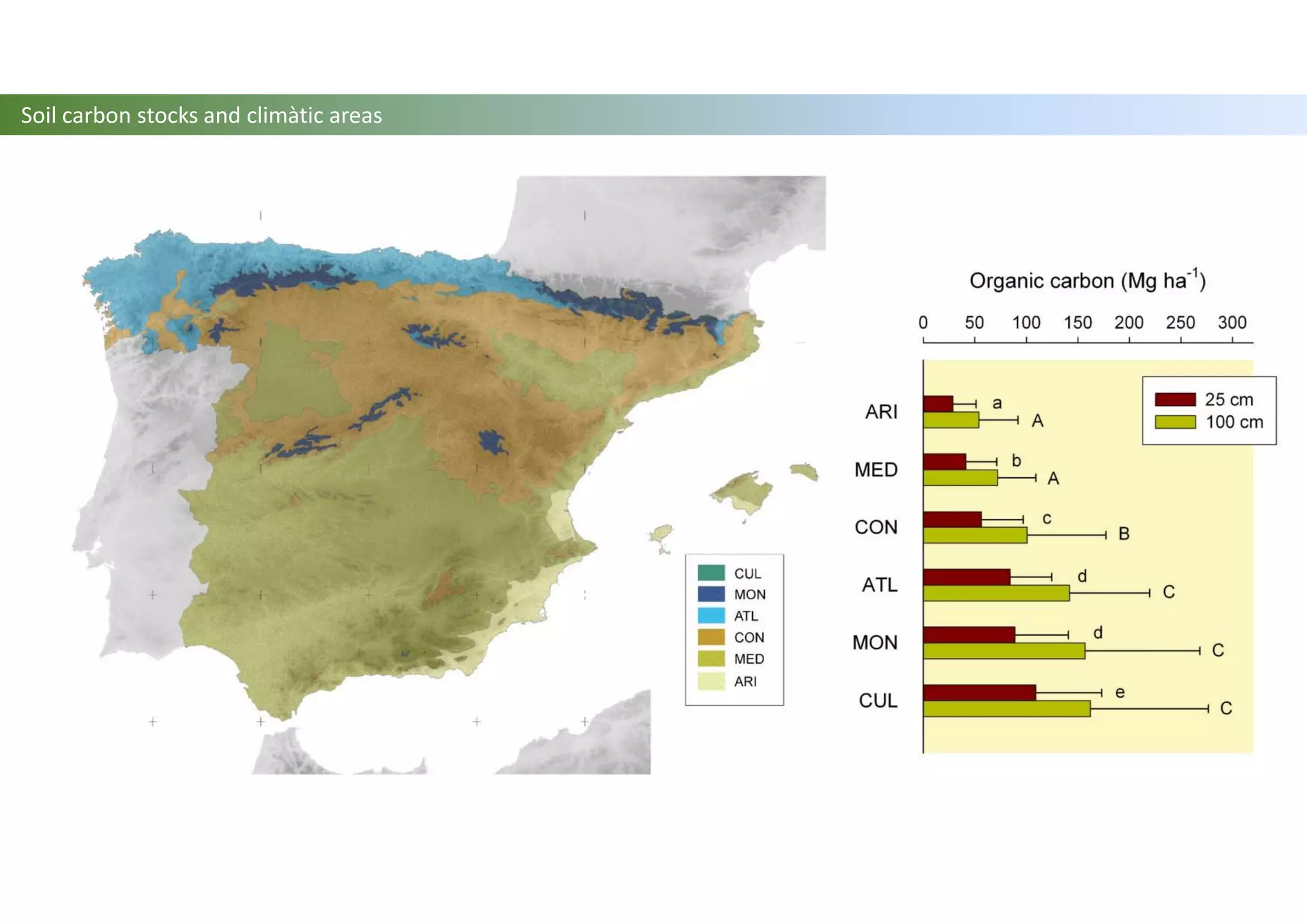Soil carbon stocks and climàtic areas
 