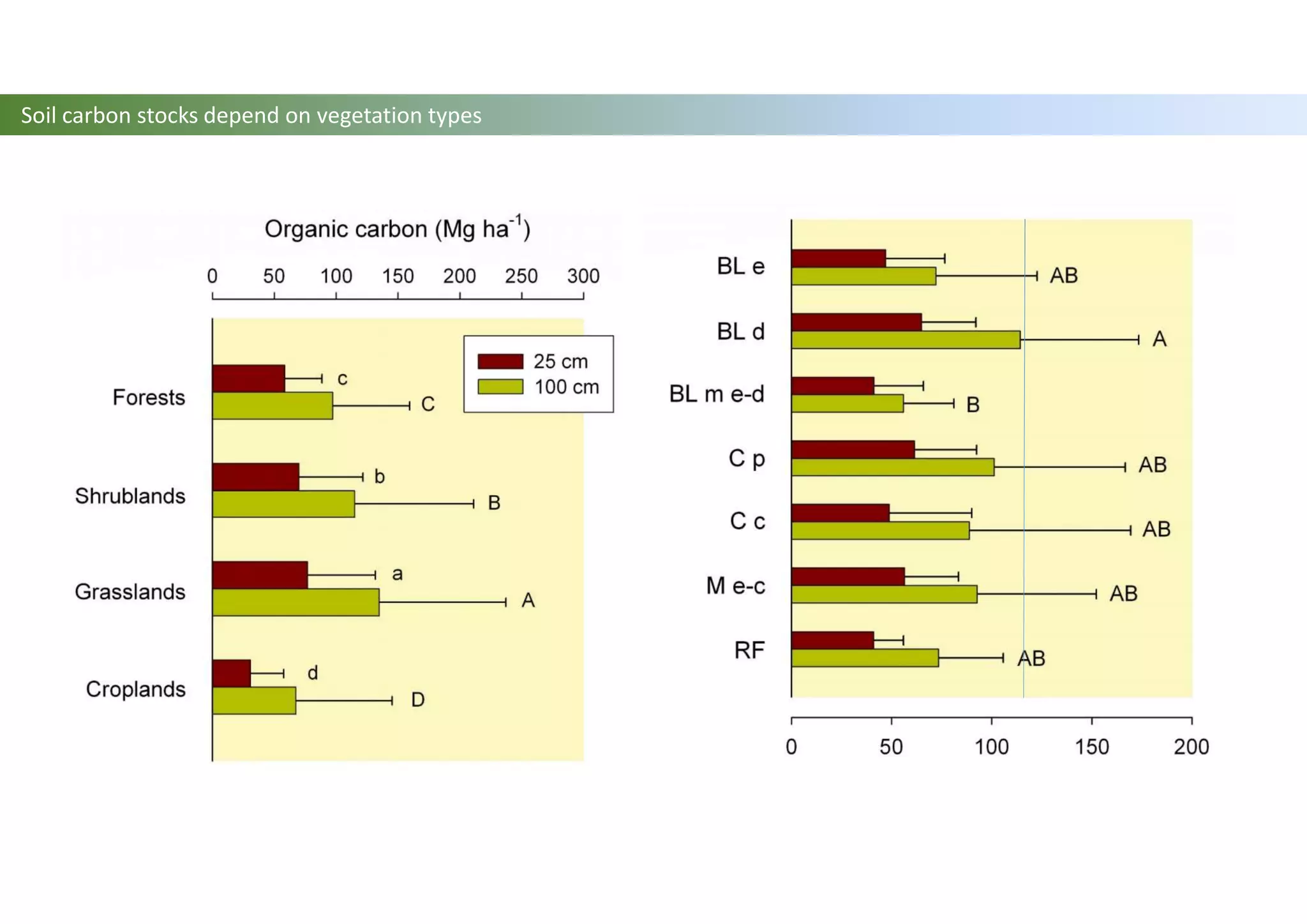Soil carbon stocks depend on vegetation types
 
