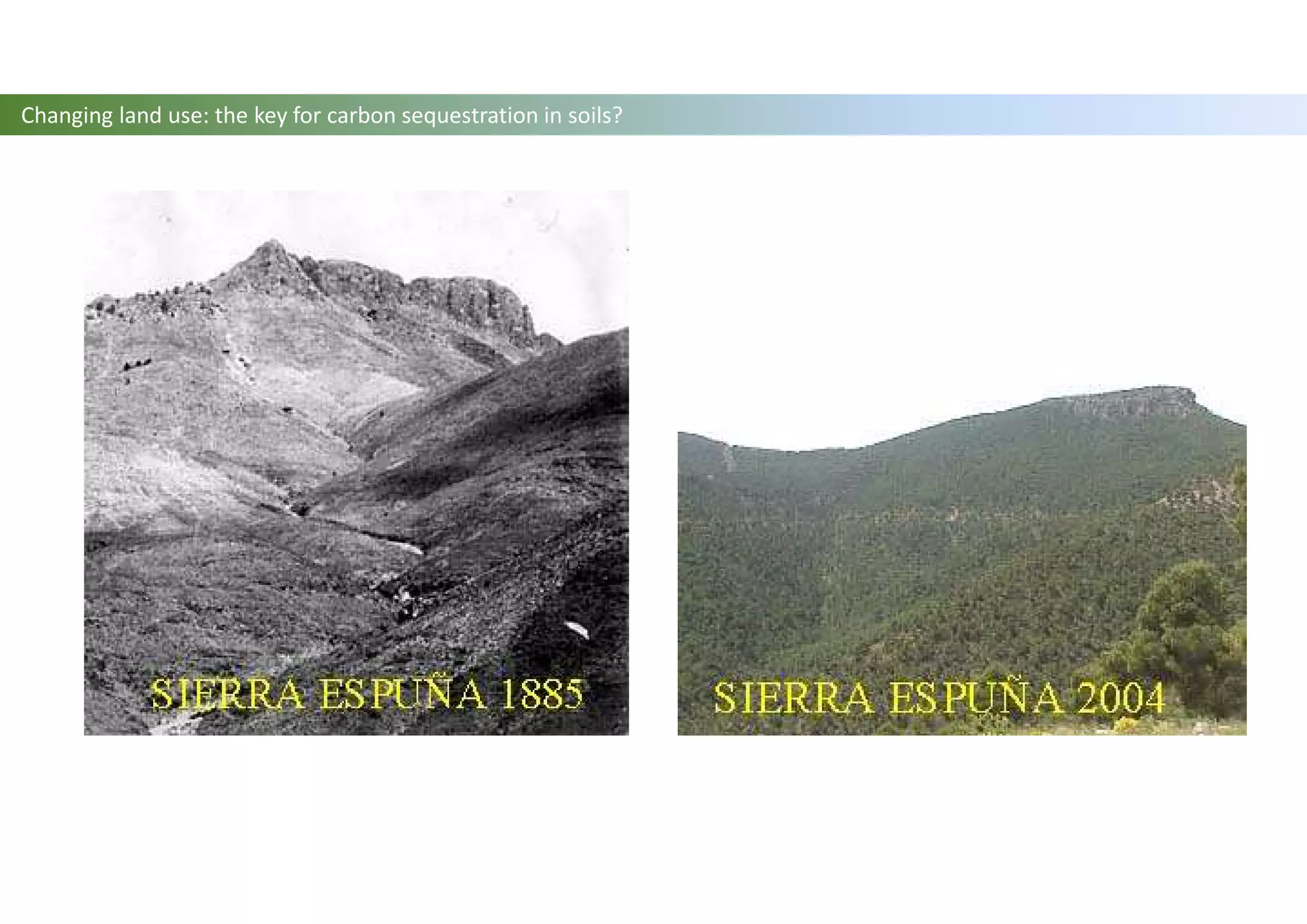 Changing land use: the key for carbon sequestration in soils?
 