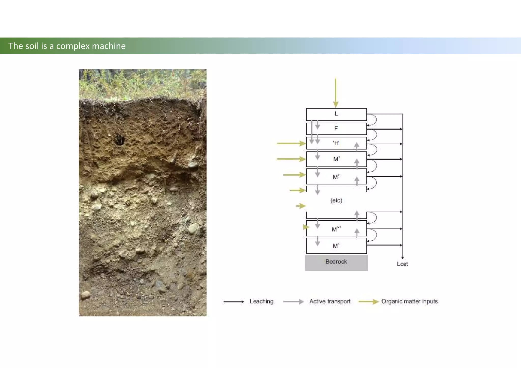 The soil is a complex machine
 