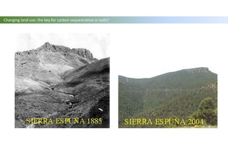 Changing land use: the key for carbon sequestration in soils?
 