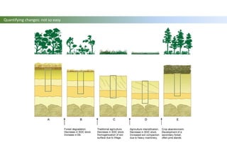 Quantifying changes: not so easy
 