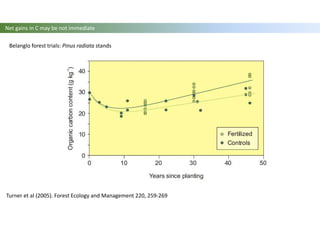 Belanglo forest trials: Pinus radiata stands
Turner et al (2005). Forest Ecology and Management 220, 259-269
Net gains in C may be not immediate
 