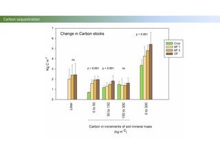 Carbon sequestration
 
