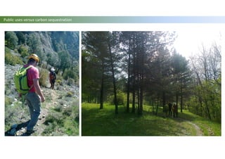 Public uses versus carbon sequestration
 