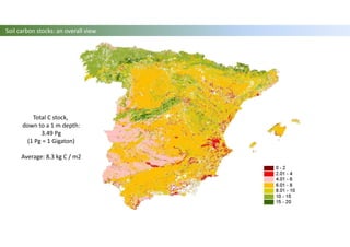 Total C stock,
down to a 1 m depth:
3.49 Pg
(1 Pg = 1 Gigaton)
Average: 8.3 kg C / m2
Soil carbon stocks: an overall view
 