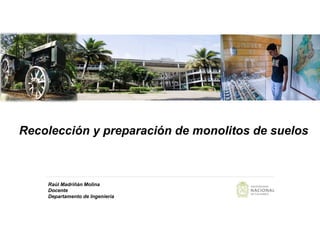 Raúl Madriñàn Molina
Docente
Departamento de Ingeniería
Recolección y preparación de monolitos de suelos
 