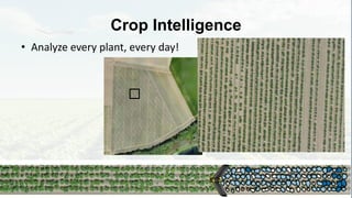 Crop Intelligence
• Analyze every plant, every day!
 