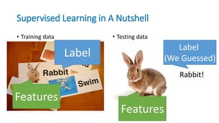 Supervised Learning in A Nutshell
• Training data • Testing data
Label
Features
Features
Rabbit!
Label
(We Guessed)
 