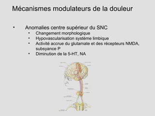 • Anomalies centre supérieur du SNC
• Changement morphologique
• Hypovascularisation système limbique
• Activité accrue du glutamate et des récepteurs NMDA,
subsyance P
• Diminution de la 5-HT, NA
Mécanismes modulateurs de la douleur
 