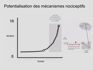 Potentialisation des mécanismes nociceptifs
 