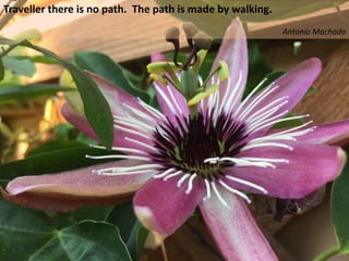 Traveller there is no path. The path is made by walking.
Antonio Machado
 