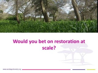 Would you bet on restoration at
scale?
 