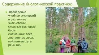 Содержание биологической практики:
 проведение
учебных экскурсий
в различные
экосистемы:
сложные сосновые
боры,
смешанные леса,
лиственные леса,
пойменные луга
реки Оки;
 