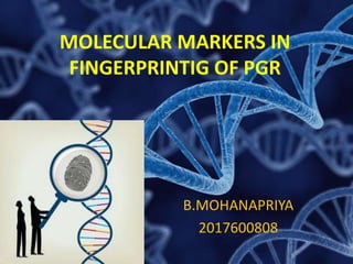 MOLECULAR MARKERS IN
FINGERPRINTIG OF PGR
B.MOHANAPRIYA
2017600808
 