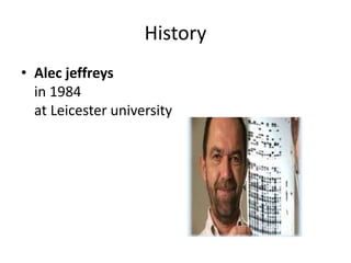 History
• Alec jeffreys
in 1984
at Leicester university
 