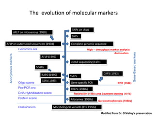 The evolution of molecular markers
Morphological variants (Pre 1950s)Classical era
Protein scene
DNA Hybridization scene
Pre-PCR era
Oligo scene
Genomics era
Anonymousmarkers
Gene-Basedmarkers
Allozymes (1960s)
Gel electrophoresis (1950s)
Restriction (1968) and Southern blotting (1975)
RFLPs (1980s)
PCR (1986)Gene specific PCR
CAPS (1993)
SSCPs
cDNA sequencing (ESTs)
SSRs (1989)
RAPD (1990)
SCARs
AFLP (1996)
Automation
High – throughput marker analysis
Complete genomic sequenceAFLP on automated sequencers (1998)
AFLP on microarrays (1998)
SNPs
SNPs on chips
Modified from Dr. O’Malley’s presentation
 